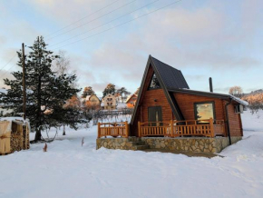 AA Pine vikendica za izdavanje u srcu Zapadne Srbije